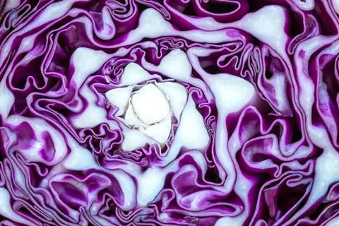 Abstract pattern purple cauliflower Vegetable slash , background textures Stock Photos