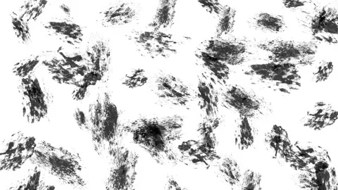 Abstract pattern of random black brush strokes with rough texture on a whit.. Video stock 323571458