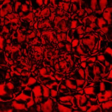 Abstract Pattern, Red and black color pattern, background Stockillustratie