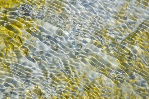 An abstract pattern of ripples on waters surface over algae and rocks in  Yello Stock Photos