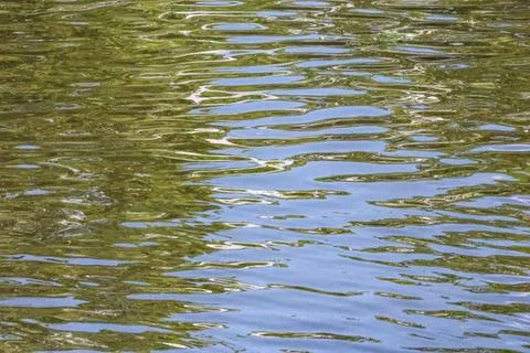 Abstract pattern of rippling water surface reflecting green foliage and blu.. Foto stock