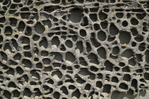 Abstract pattern in rock created by saltwater erosion of a sea wall Stock Photos