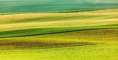 Abstract pattern of rolling striped fields in summer Moravia Czech Republic Stock Photos