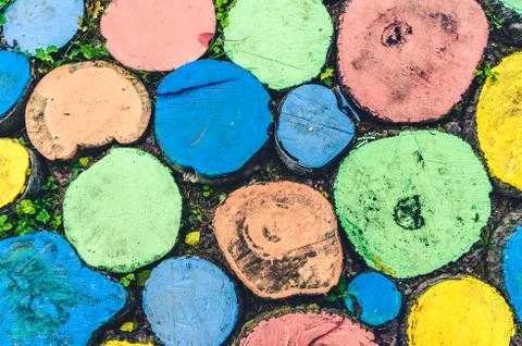 Abstract pattern of round shaped multi-colored tree stumps Stock Photos
