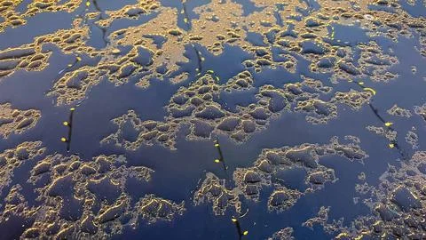 Abstract pattern of sparkling water droplets on a dark blue surface reflect.. Stock Photos