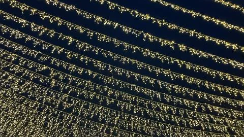 Abstract pattern of thousands of warm white string lights creating brillian.. Stock Photos