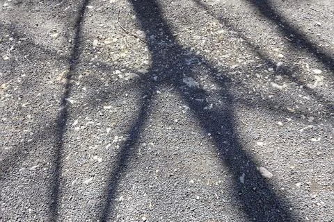 Abstract Pattern of Tree Shadows on Gravel Surface for Artistic Backgrounds 스톡 사진