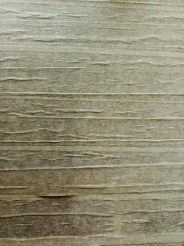 An abstract pattern on a wall resulting from a layer of white plaster 库存照片