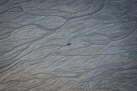 Abstract pattern of water channels carved in wet beach sand Foto stock