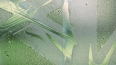 Abstract pattern of water drops on glass Stock Photos