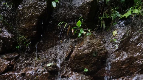 Abstract Pattern Water Wet Wall for a background Stock Footage 102647673