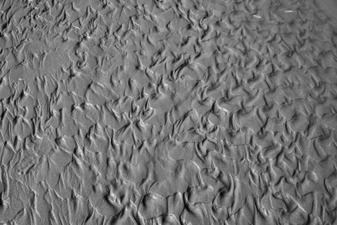 Abstract pattern of wet sand ripples on the beach in black and white Stock Photos