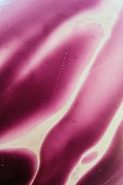 Abstract pattern white pink colors Stock Photos