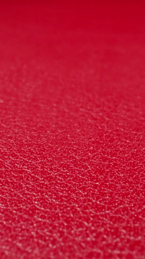 Abstract pattern of wrinkles on red cow leather surface Stock Footage 309703116