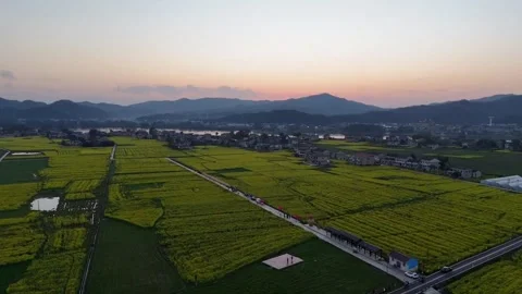 Abstract Pattern of Yellow and Green Fields in Chinese Countryside Stock Footage 332256408