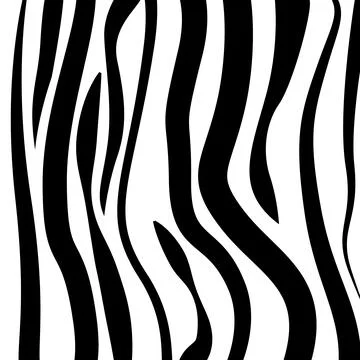 Abstract pattern zebra design texture Illustrazione stock