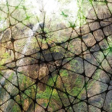 Abstract patterned background featuring a complex interlocking network Stock Photos