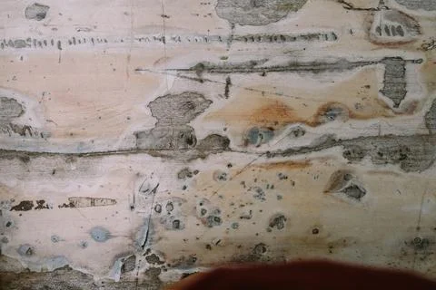 Abstract patterned wooden table Foto stock