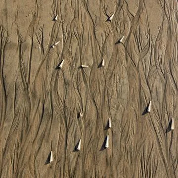 Abstract patterns and shells on beach sand Foto stock