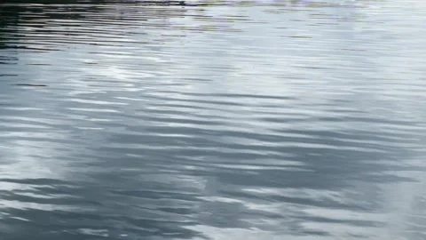 Abstract patterns and textures of the lake water surface that moves calmly Vídeo Stock 306660318