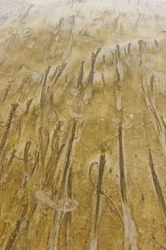 Abstract patterns on beach sand Foto stock