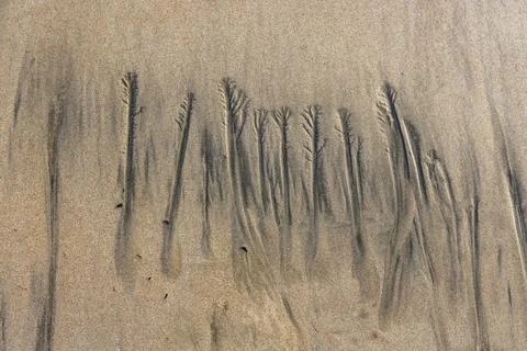 Abstract patterns on beach sand Foto stock