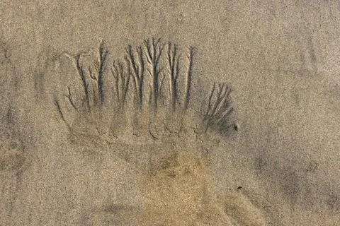 Abstract patterns on beach sand Foto stock