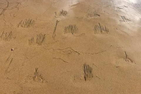 Abstract patterns on beach sand Foto stock