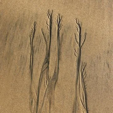 Abstract patterns on beach sand Foto stock