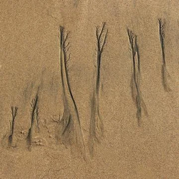 Abstract patterns on beach sand Foto stock