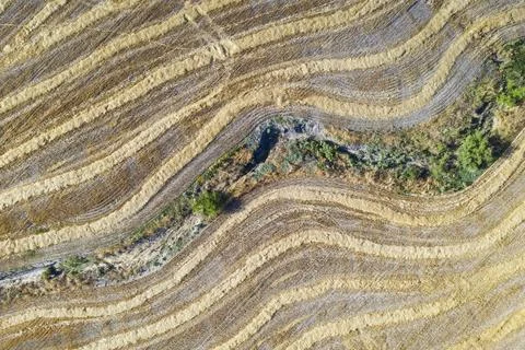 Abstract patterns in cornfield after wheat harvest dry stream aerial view drone Stock Photos