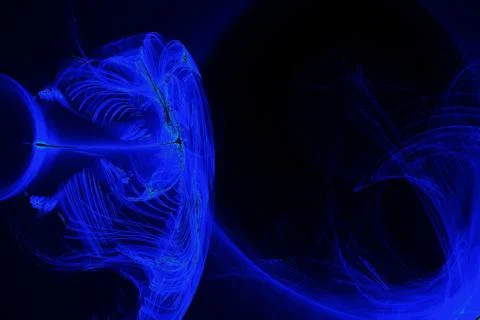 Abstract Patterns On Dark Background With Blue Lines Curves Particles Stock Illustration