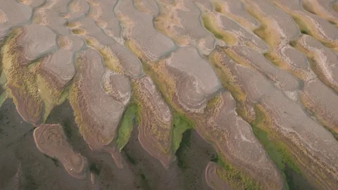 Abstract patterns of the exposed Danube riverbed during extremely low water Vídeos de archivo 342751256