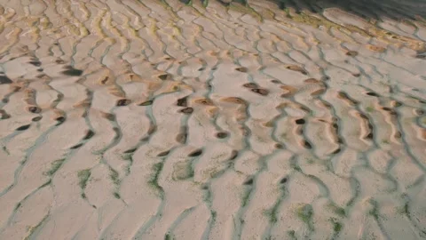 Abstract patterns of the exposed Danube riverbed during extremely low water Stock Footage 342751259