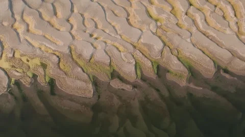 Abstract patterns of the exposed Danube riverbed during extremely low water Vídeo Stock 342751296