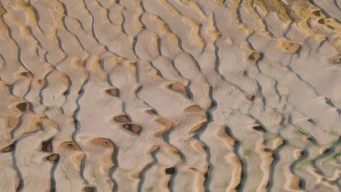 Abstract patterns of the exposed Danube riverbed during extremely low water Vídeos de archivo 342751308