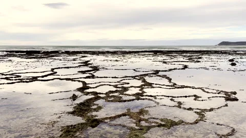 Abstract patterns of exposed shallow ocean rock pools at low tide on coastline Stock Footage 336486451