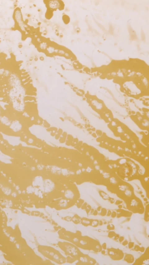 Abstract patterns of flowing golden liquid on a white background Stock Footage 341903855