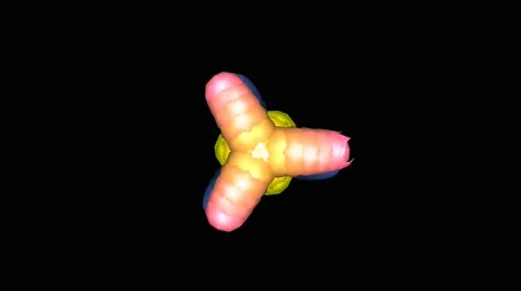 Abstract patterns Stock-Footage 43428755