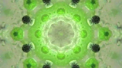 Abstract patterns Stock Footage 69209750