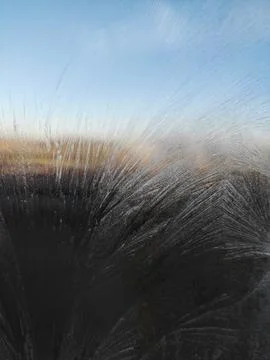 Abstract patterns on glass Photos