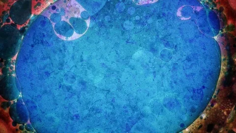 Abstract Patterns of Ink in Water Stock Footage