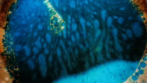 Abstract Patterns of Ink in Water Stock Footage
