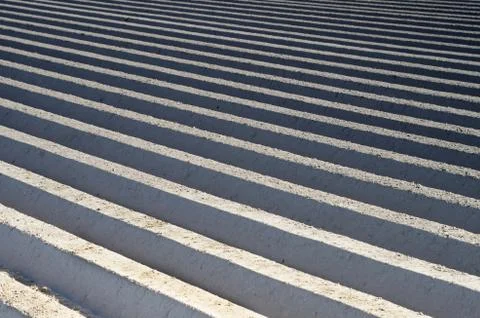 Abstract patterns with lines on the field on the black-and-white Stock Photos