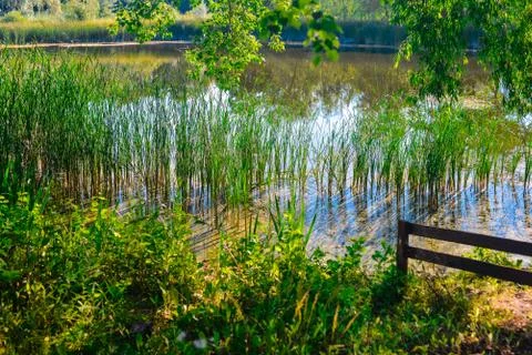 Abstract patterns made with paint or improvised materials Stock Photos