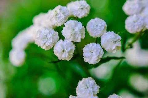 Abstract patterns made with paint or improvised materials Stock Photos