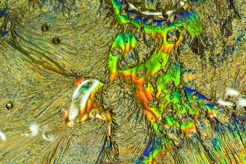 Abstract Patterns . Microscopic View 库存照片