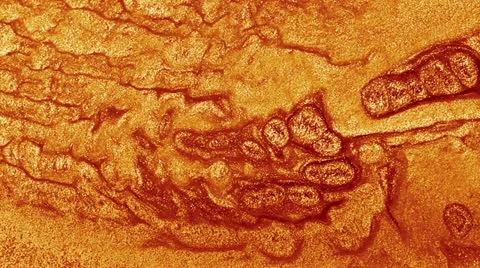 Abstract patterns mixing liquids Stock Footage 12537605