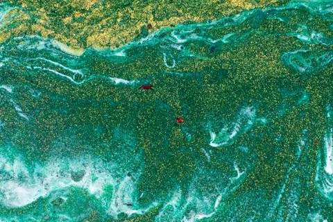 Abstract Patterns of Paints Stock Illustration