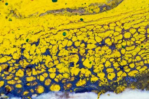 Abstract Patterns of Paints Stock Photos